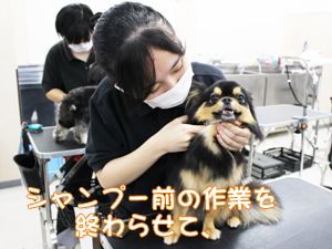 ２年生のトリミング実習♪